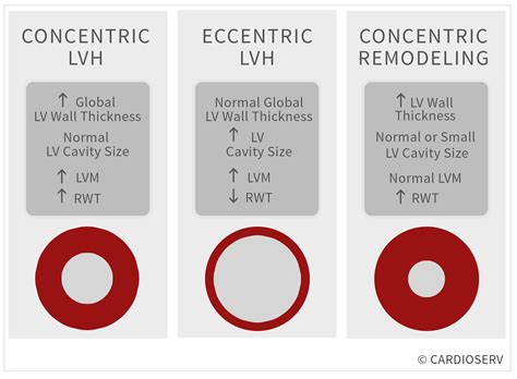 lv concentric remodeling|concentric vs eccentric wall thickness.